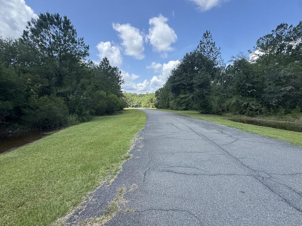 Picture 21