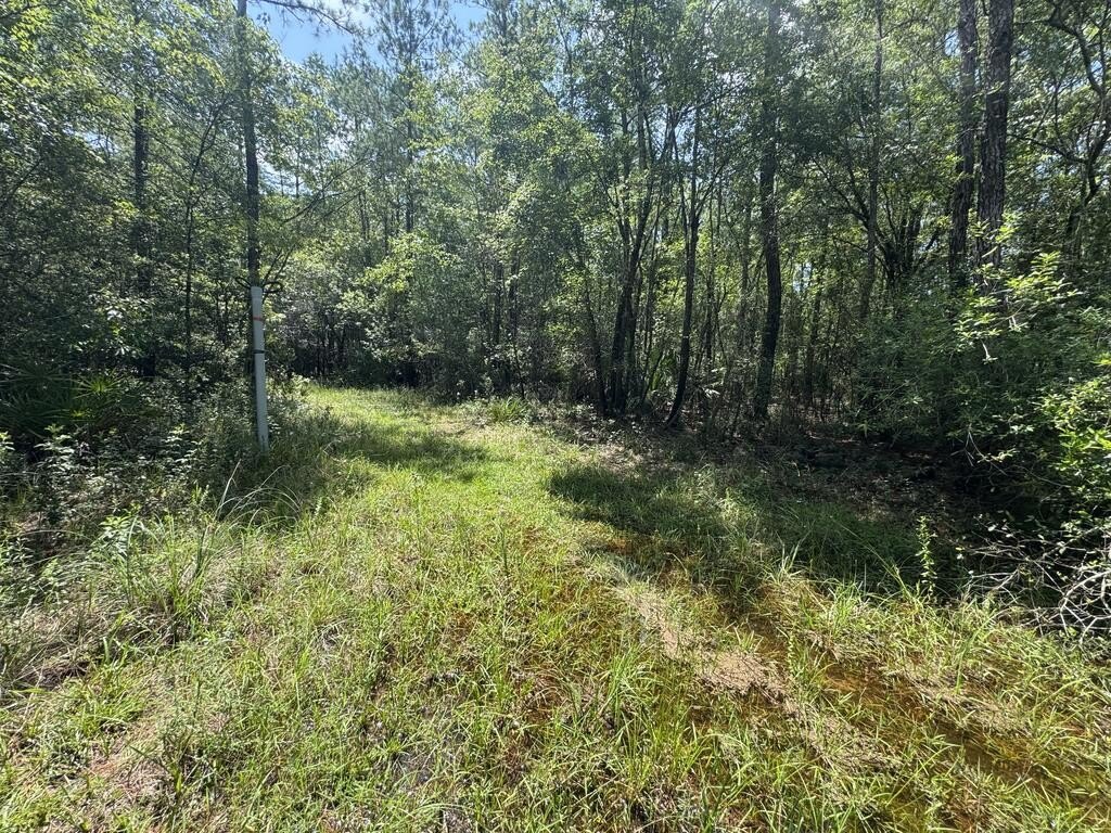Picture 19