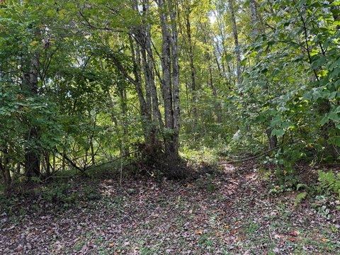 Land, Newland, NC