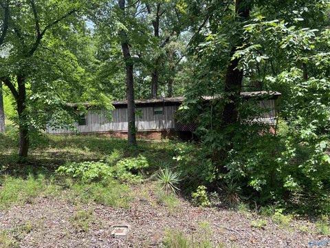 LAND - Southside, AL