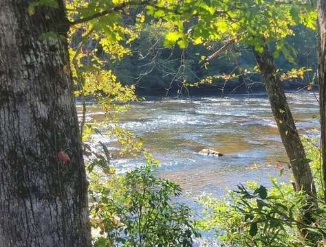 River Front Lot, Hayesville, NC