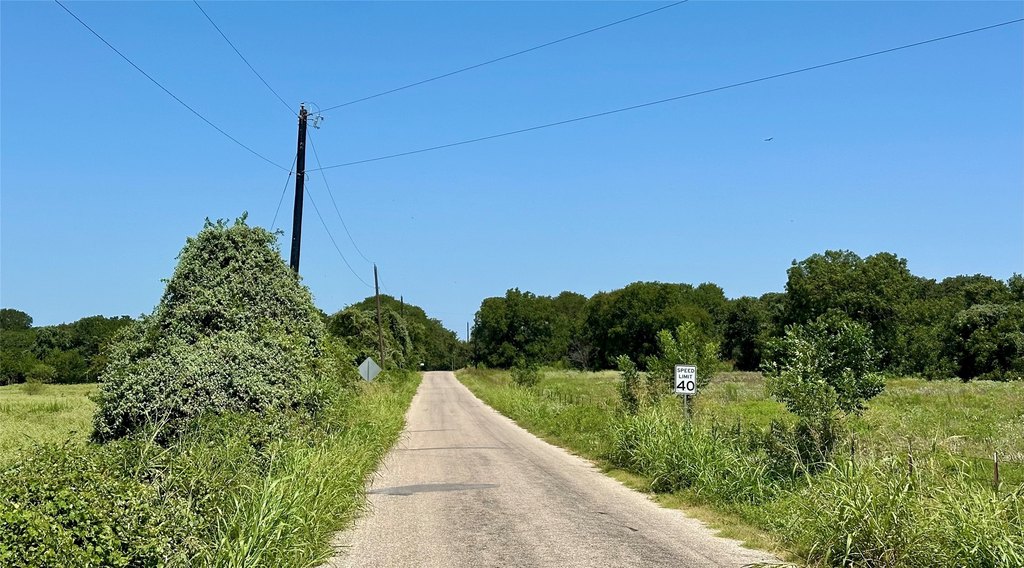 Picture 8