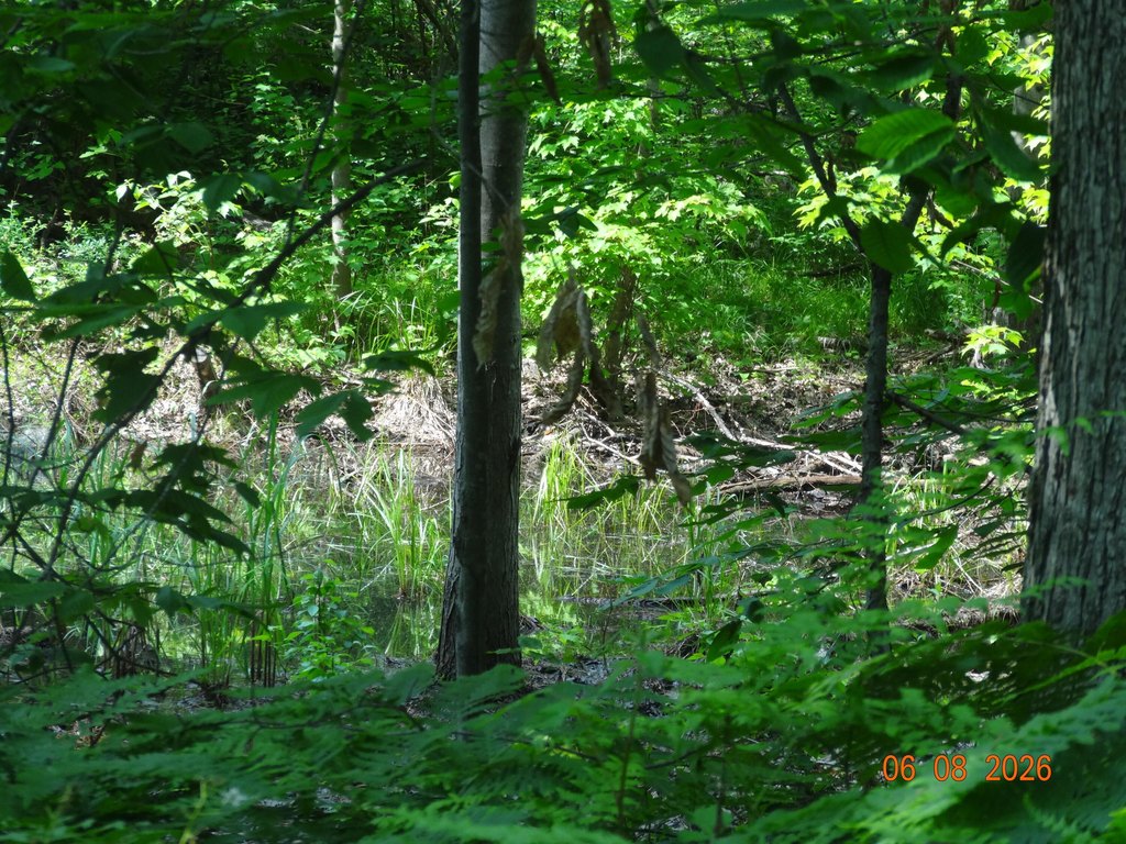 Picture 8