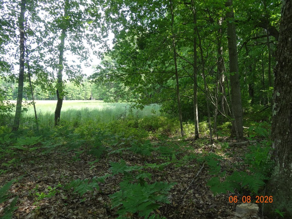 Picture 16