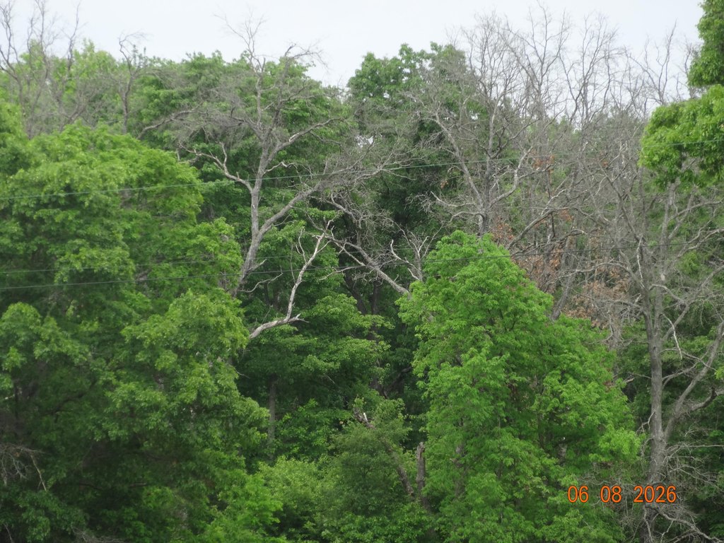 Picture 3