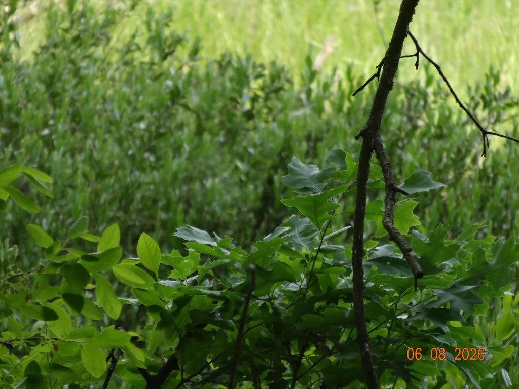 Picture 12