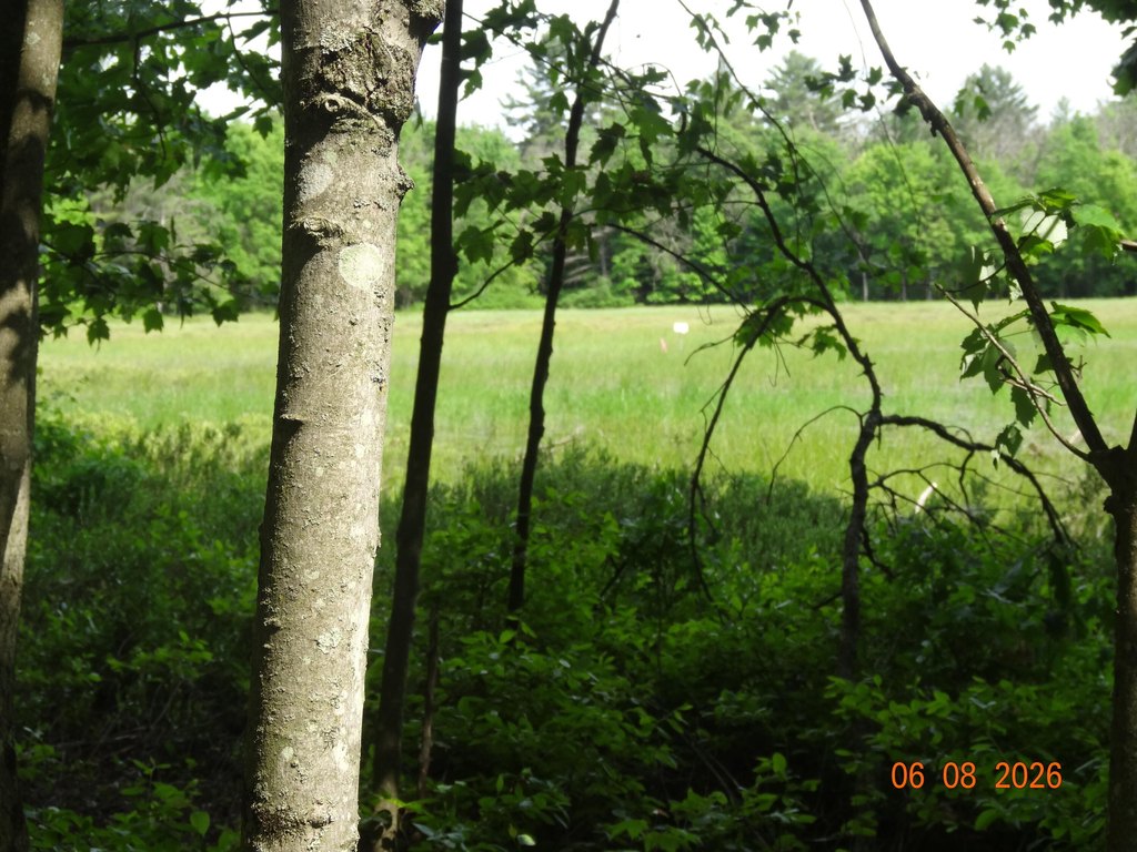 Picture 13