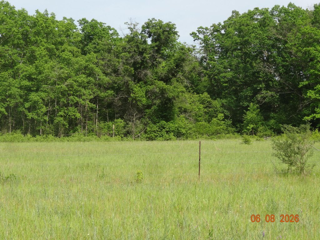 Picture 20