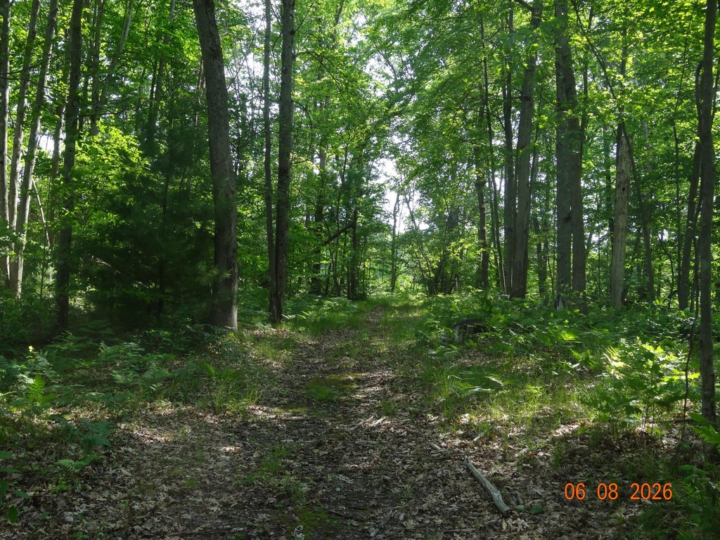 Picture 17