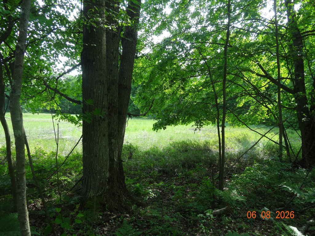 Picture 15