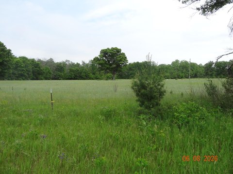 WHITE CLOUD, MI