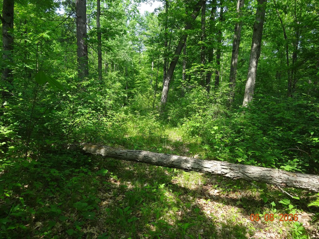 Picture 7