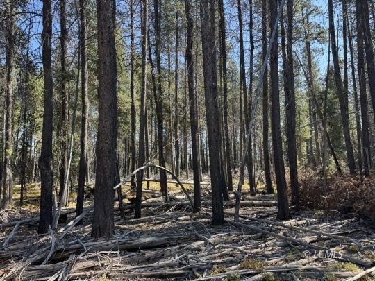 Chiloquin Land with Development Potential