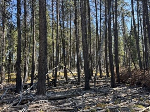 Chiloquin Land with Development Potential