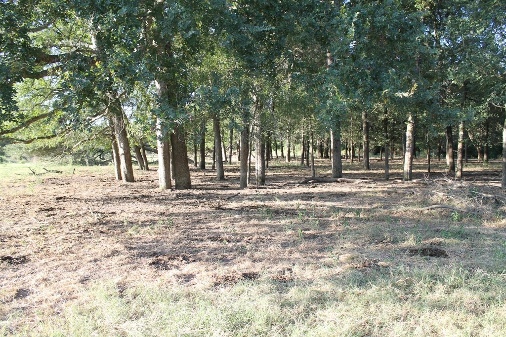 Picture 22