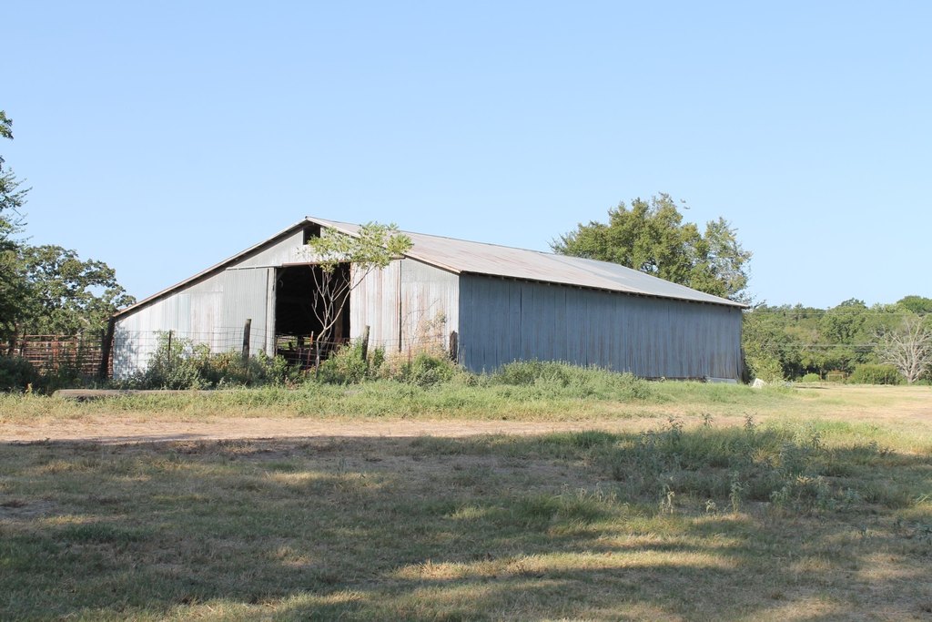 Picture 28