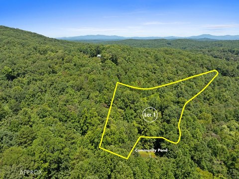 Vacant Lot, Blue Ridge, GA