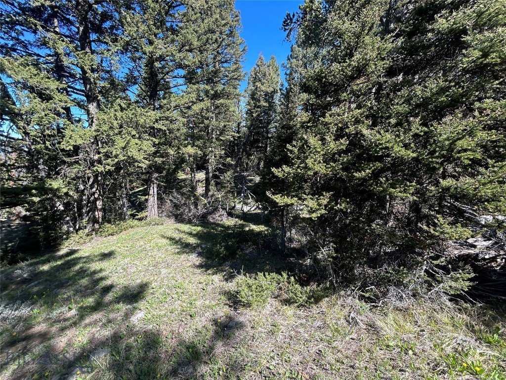 Picture 19