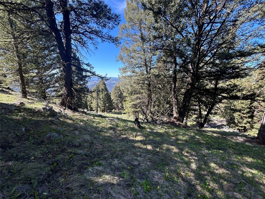 Picture 20