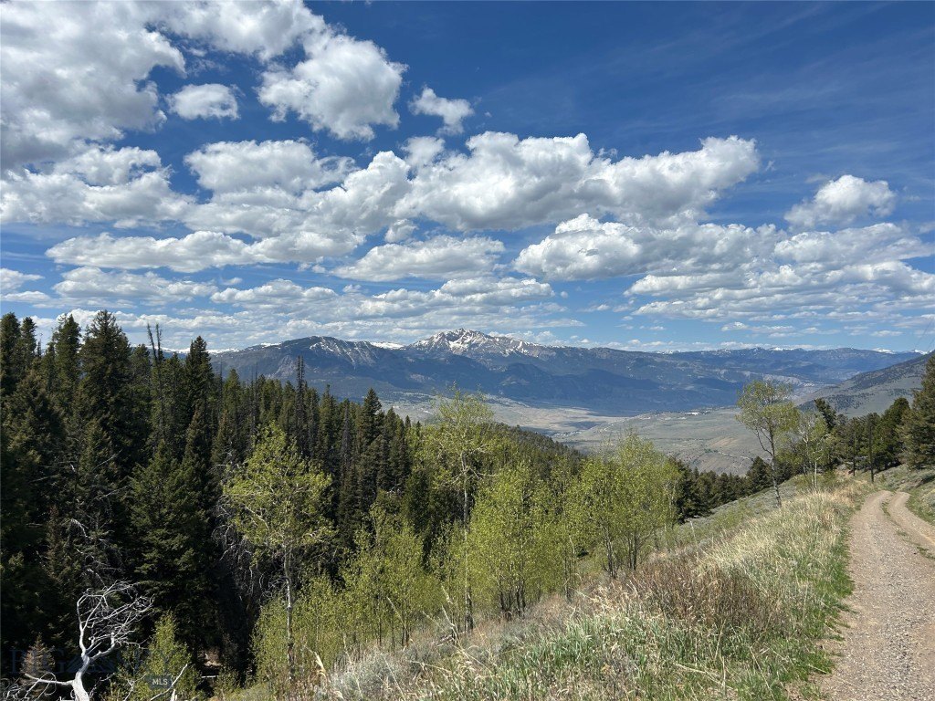 Picture 26