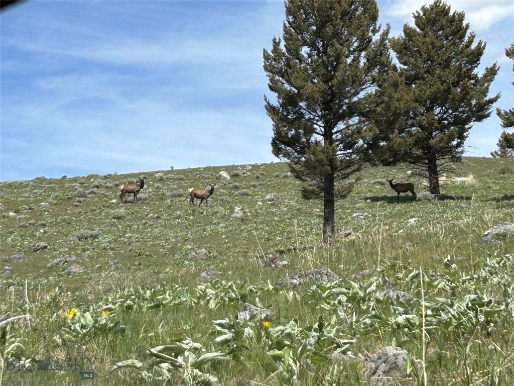 Picture 29