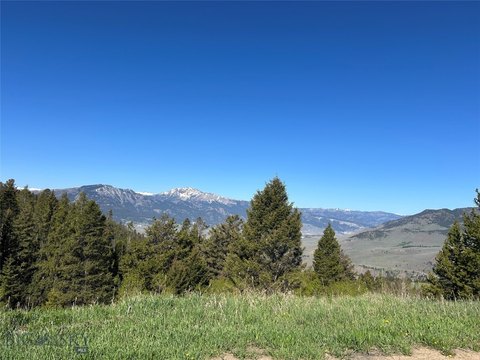Montana Mining Claim Near Yellowstone