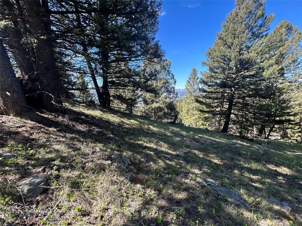 Picture 18