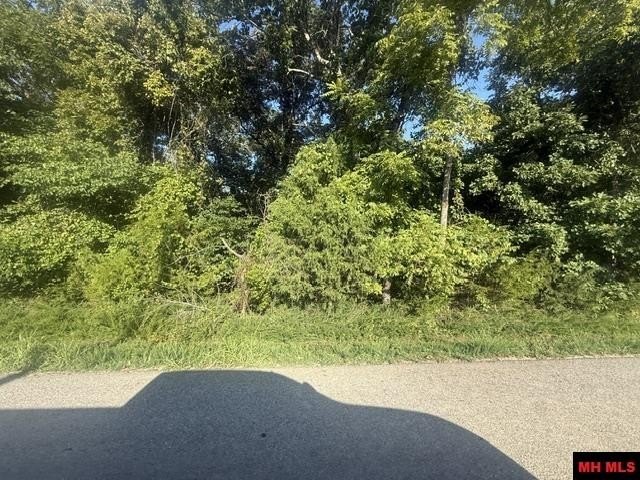 Picture 3