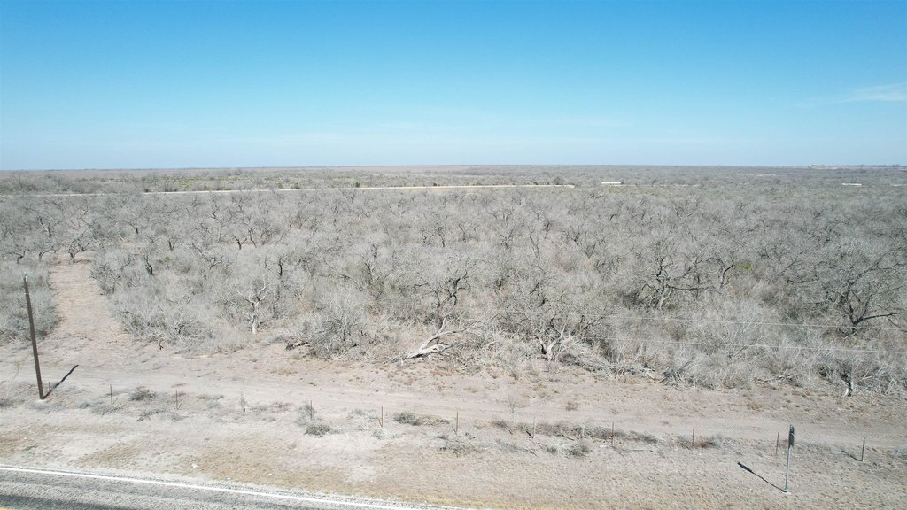 Picture 13
