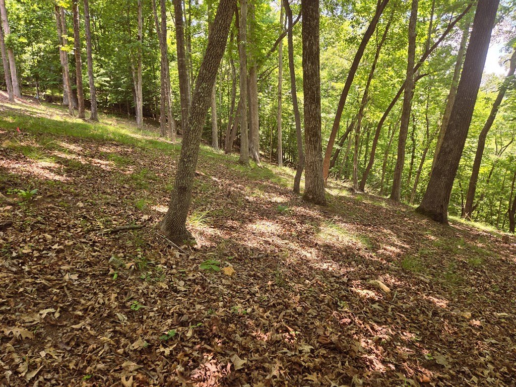 Picture 7