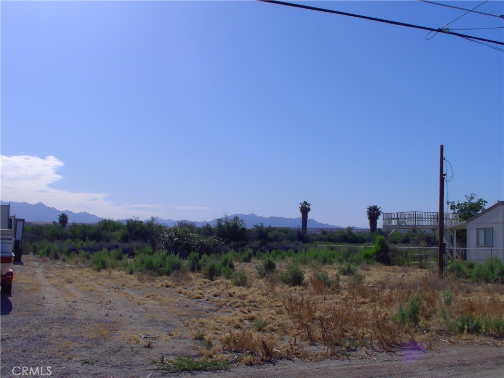 Picture 6