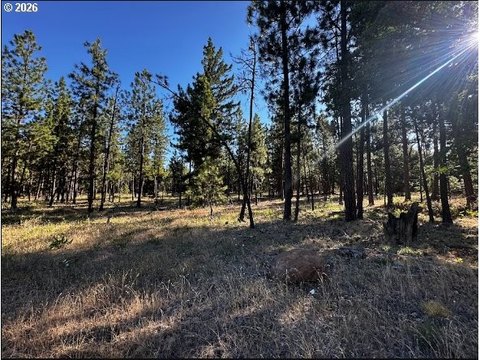 Land, Goldendale, WA