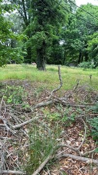 Residential Land in Statesville, NC