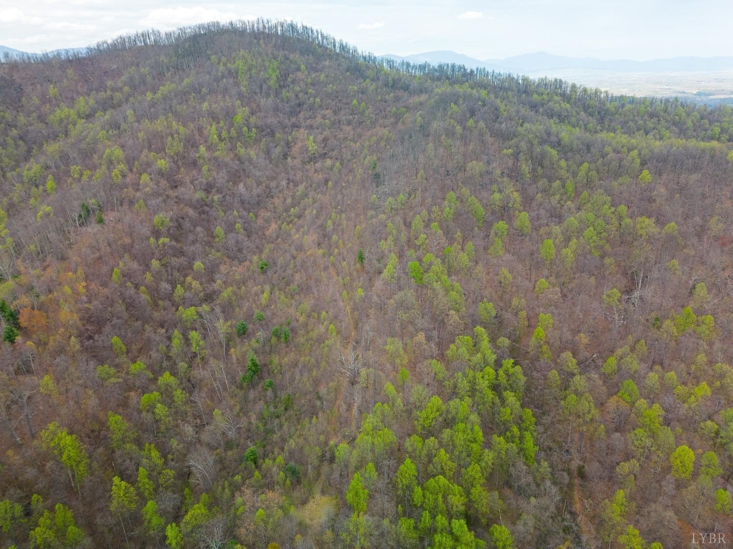 69 Acres Wooded Mountain Land