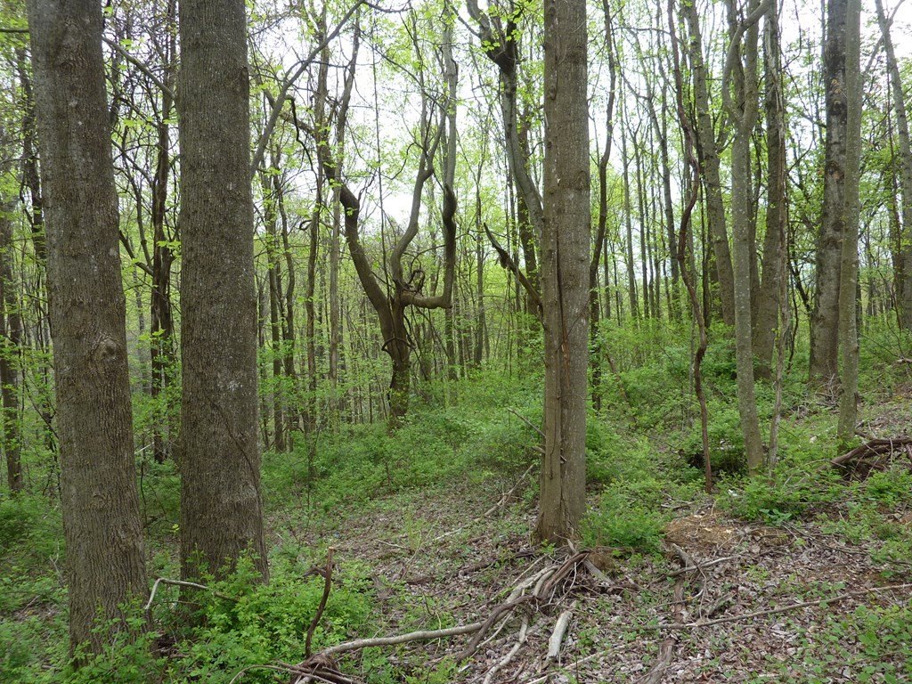 Picture 5