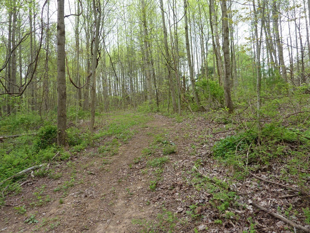 Picture 6