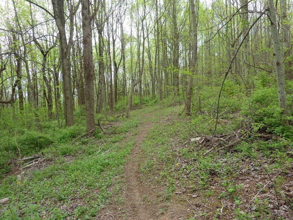 Picture 4