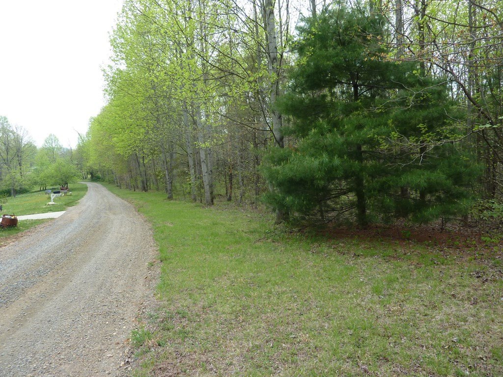 Picture 7