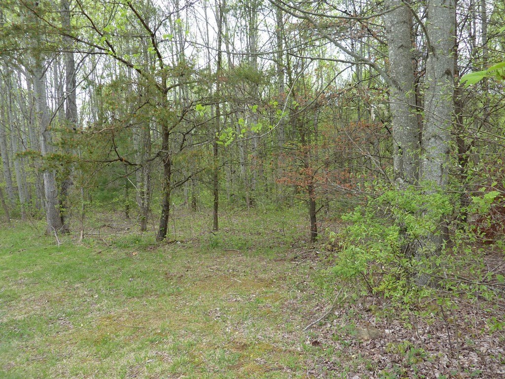 Picture 8