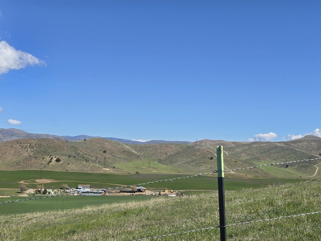 Picture 14