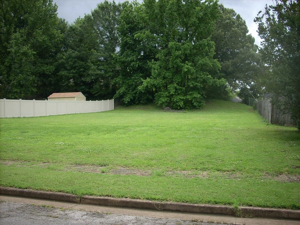 Picture 2