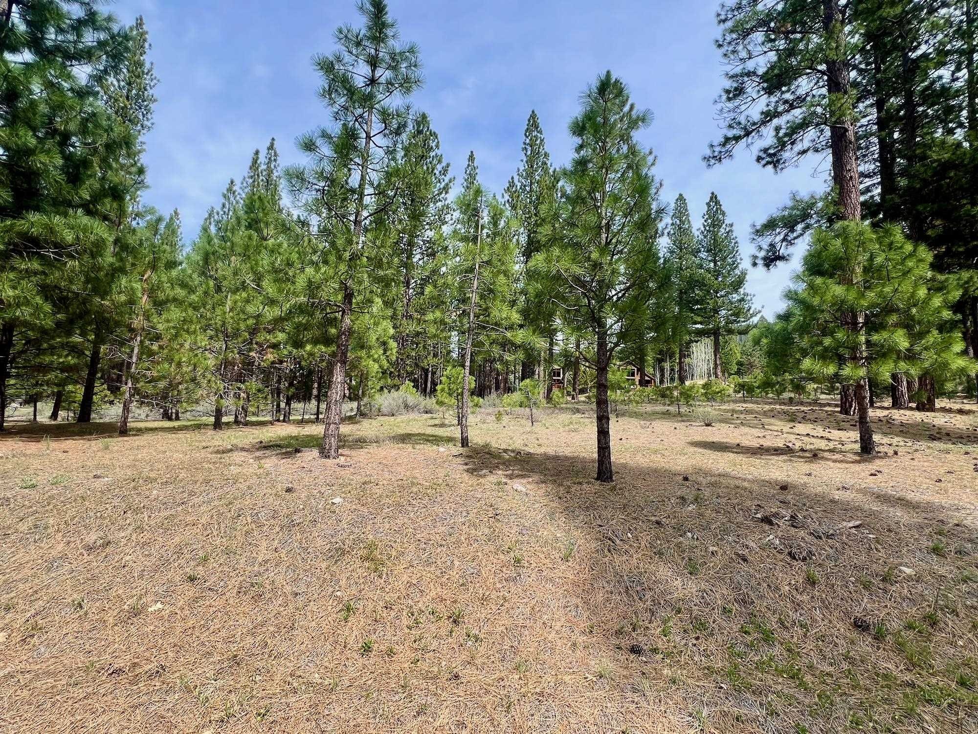 Clio Land in Whitehawk Ranch