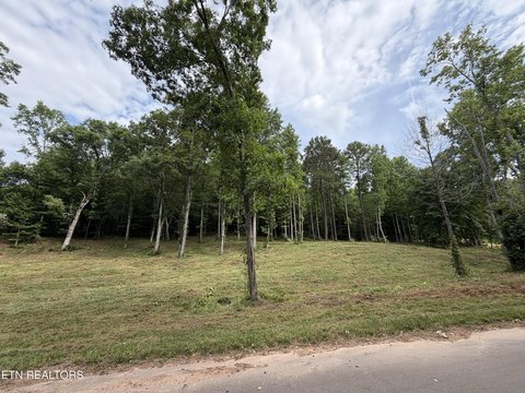 Lots & Acreage, Knoxville, TN