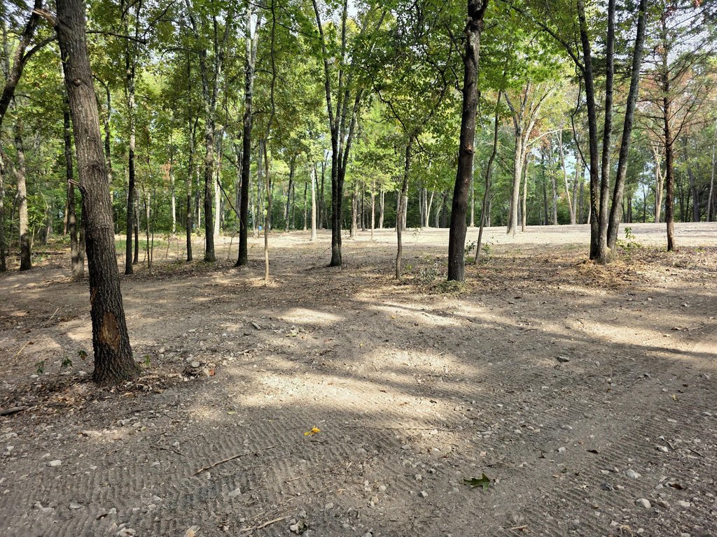 Picture 16