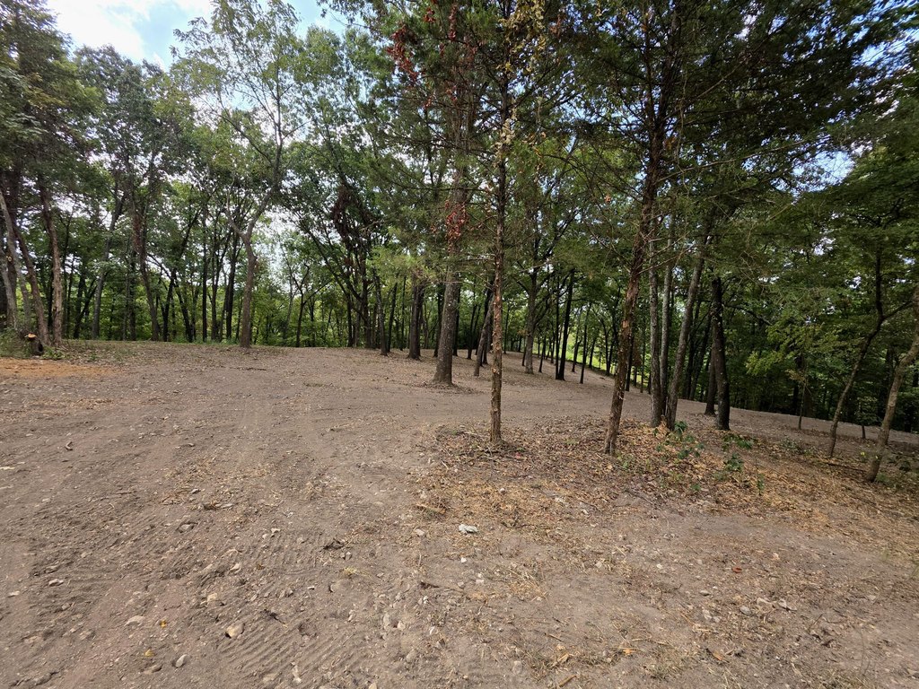 Picture 17