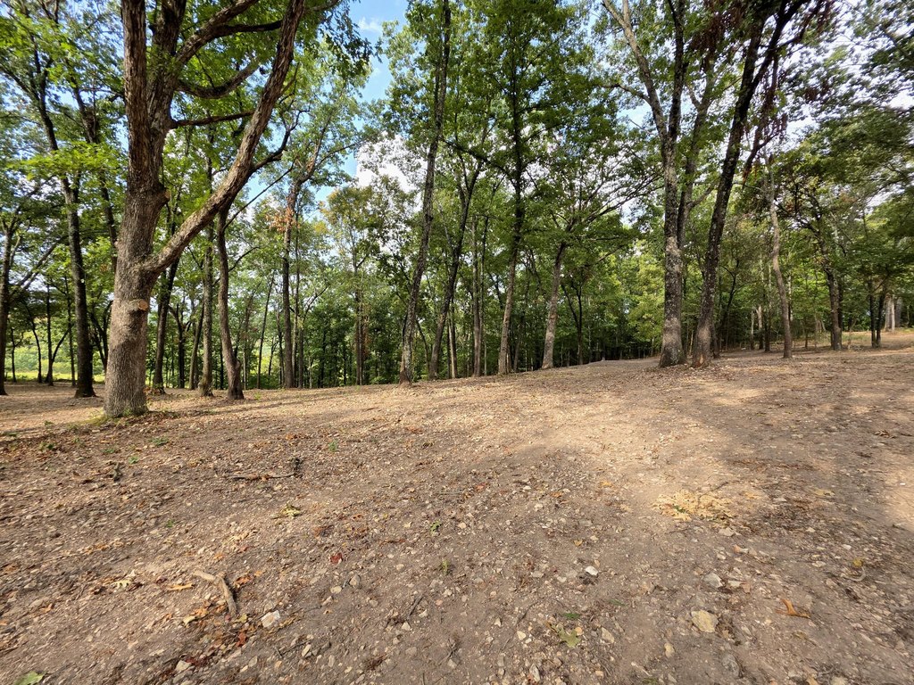 Picture 14
