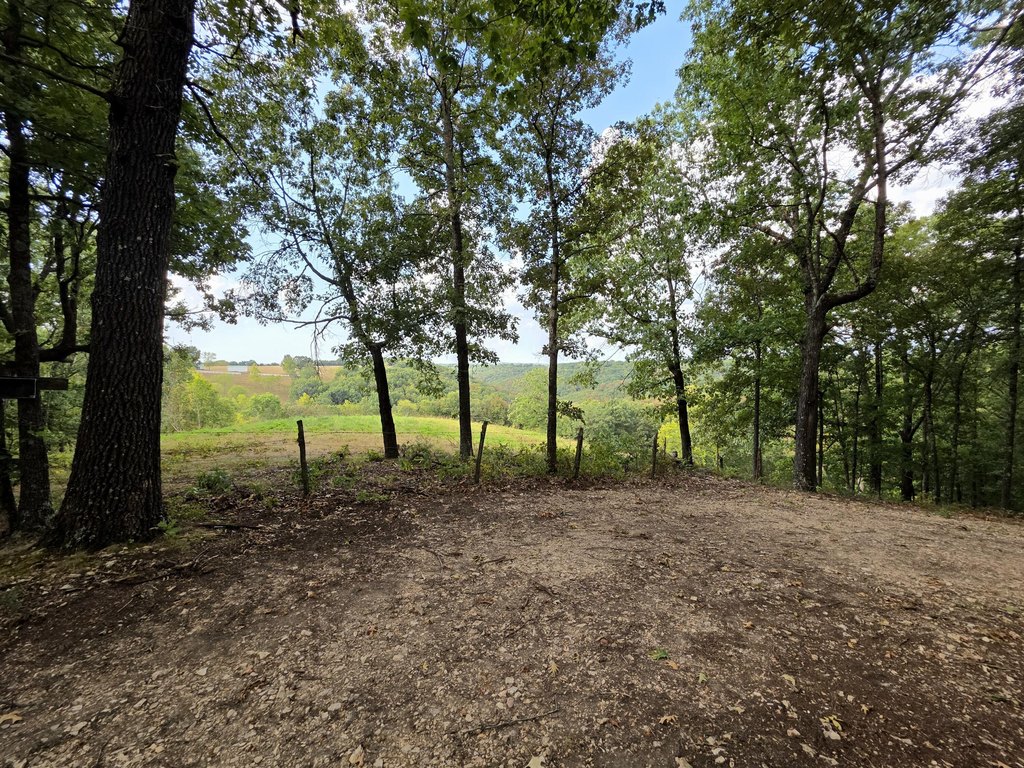 Picture 15