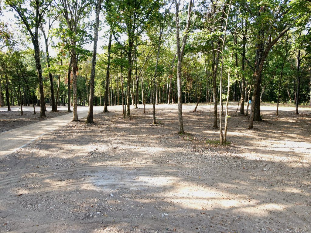Picture 20