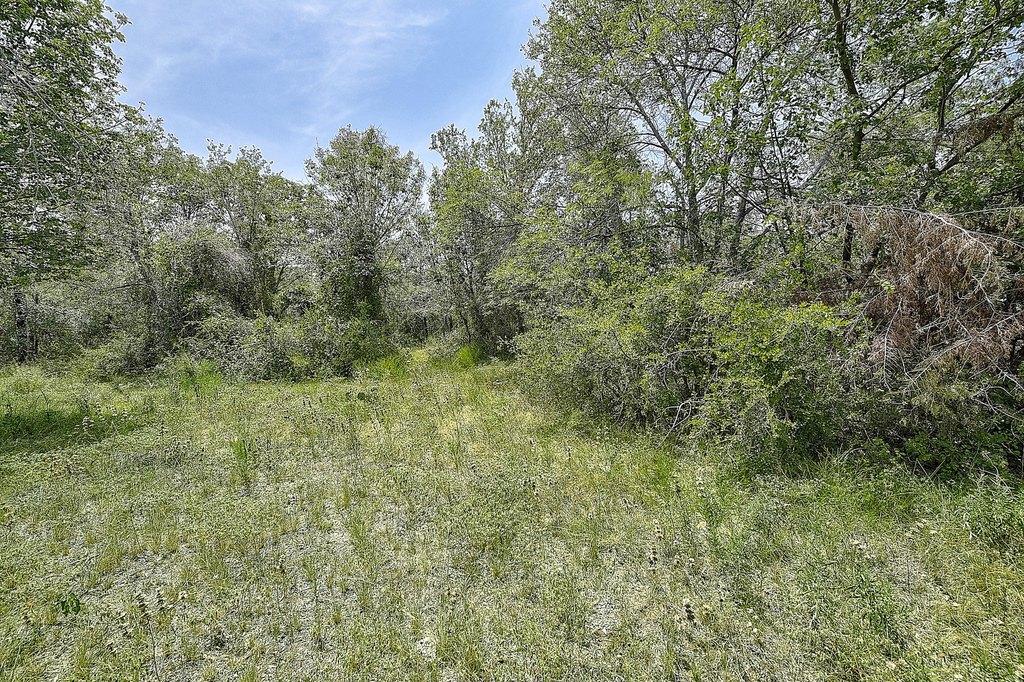 Picture 17