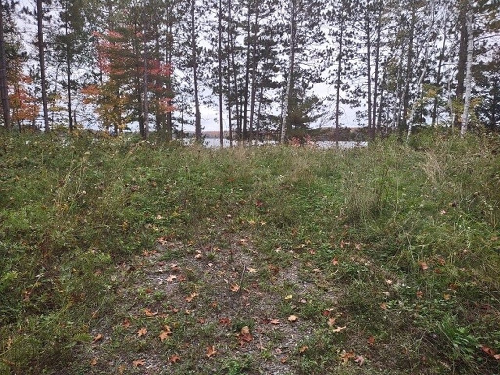 Picture 17